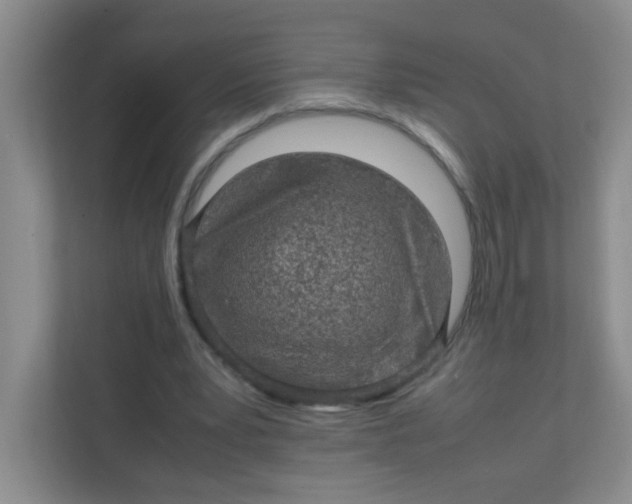X0000111600391200907301451