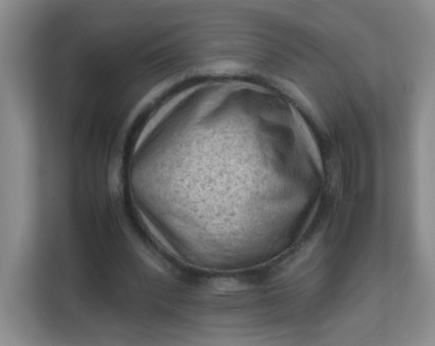 X0000111600392200907301451