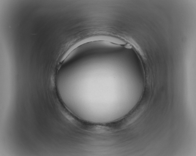X0000111600393200907301451