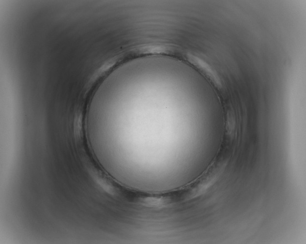 X0000111600394200907301451