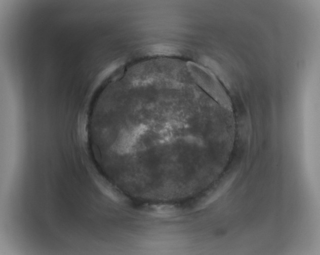 X0000111600395200907301451