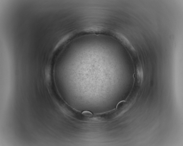 X0000111600396200907301451