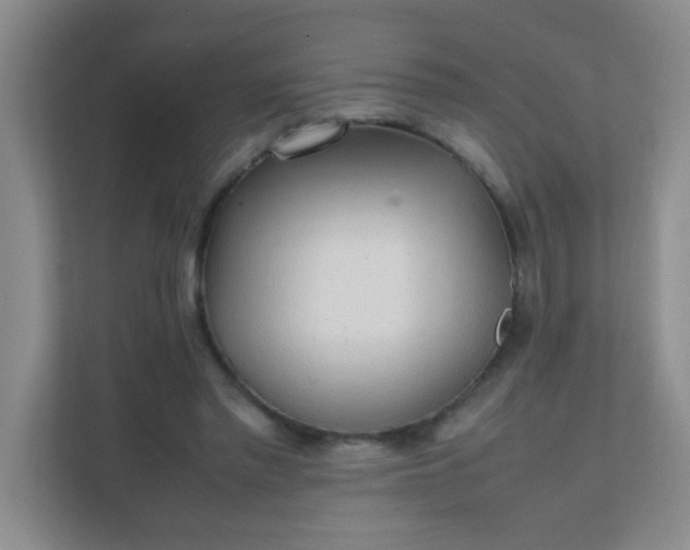 X0000111600397200907301451