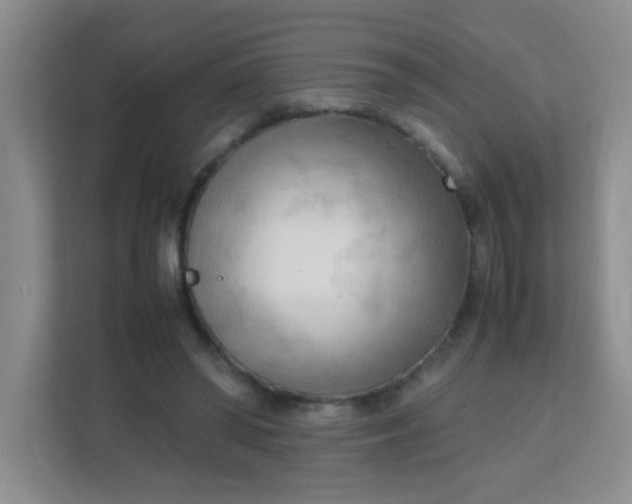 X0000111600398200907301451