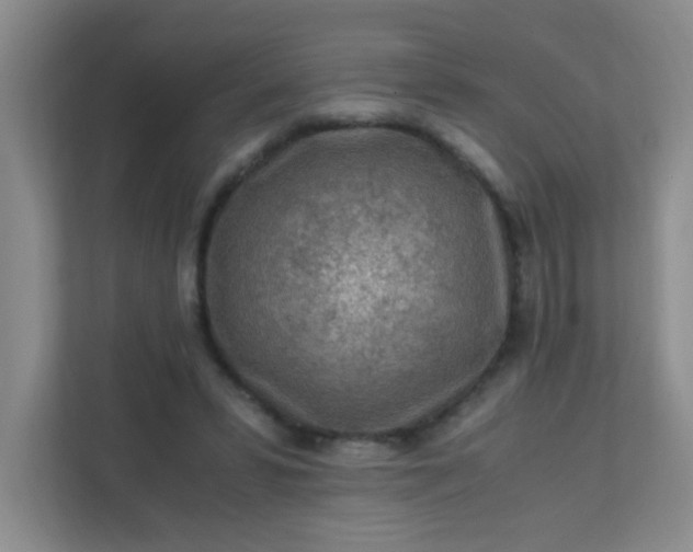 X0000111600399200907301451