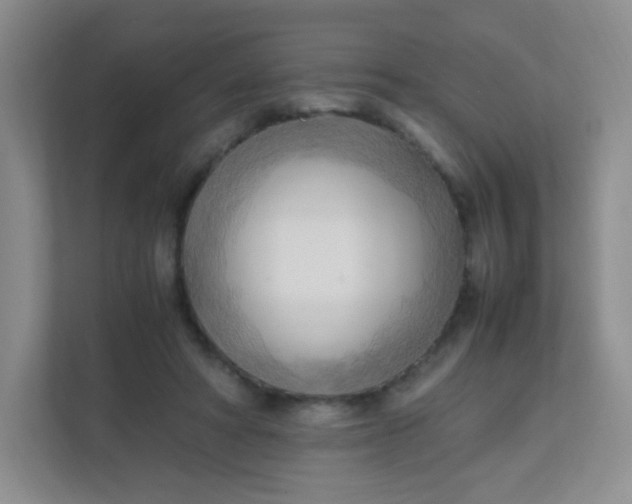 X0000111600402200907301451