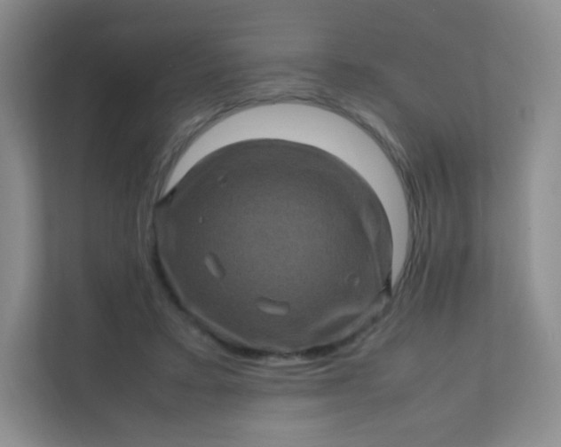 X0000111600403200907301451