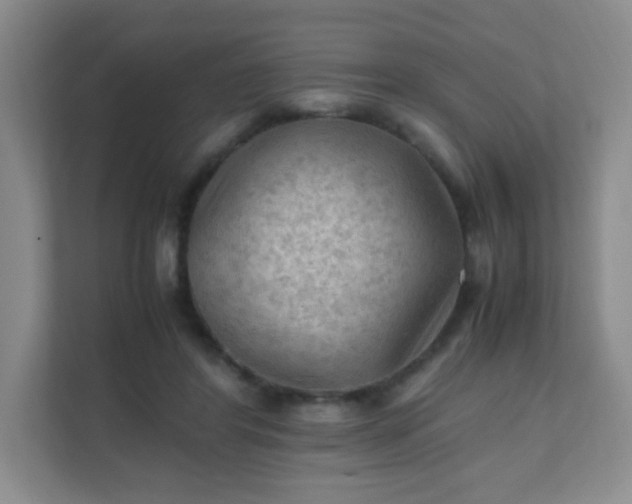 X0000111600404200907301451