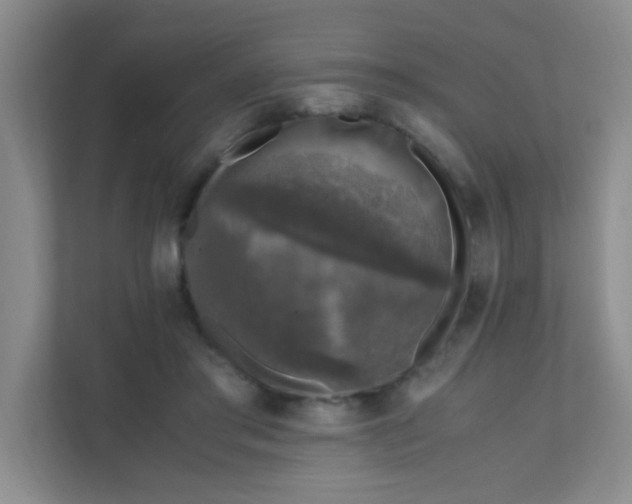 X0000111600405200907301451