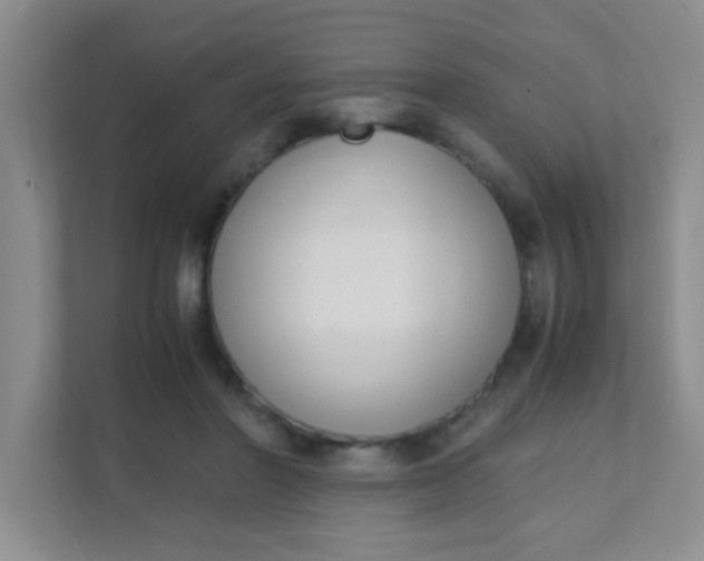 X0000111600406200907301451