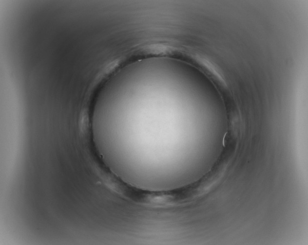 X0000111600407200907301451