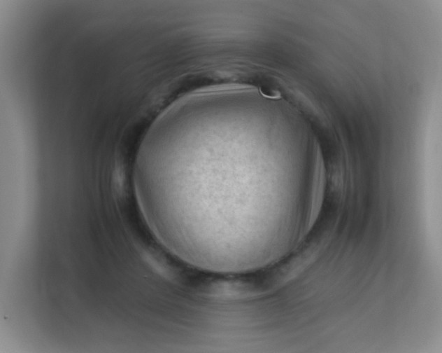 X0000111600408200907301451