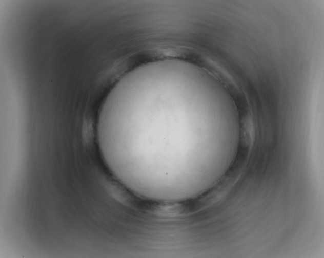 X0000111600410200907301451