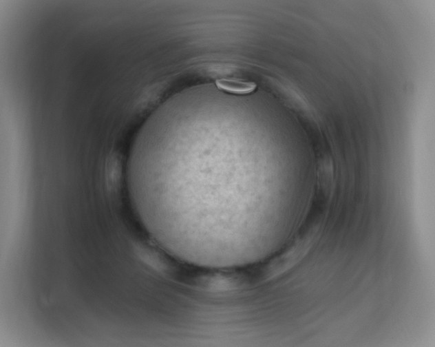 X0000111600412200907301450