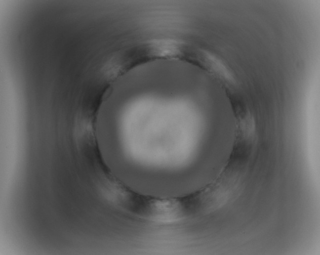 X0000111600415200907301450