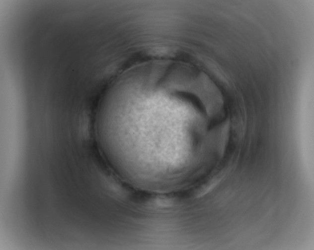 X0000111600416200907301450