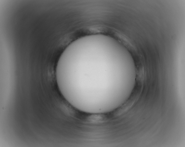 X0000111600418200907301450