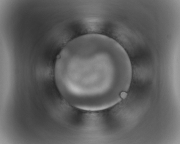 X0000111600419200907301450