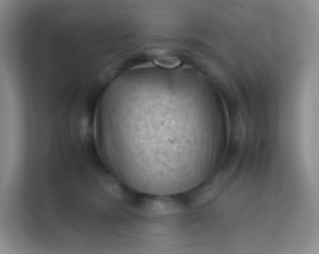 X0000111600420200907301450
