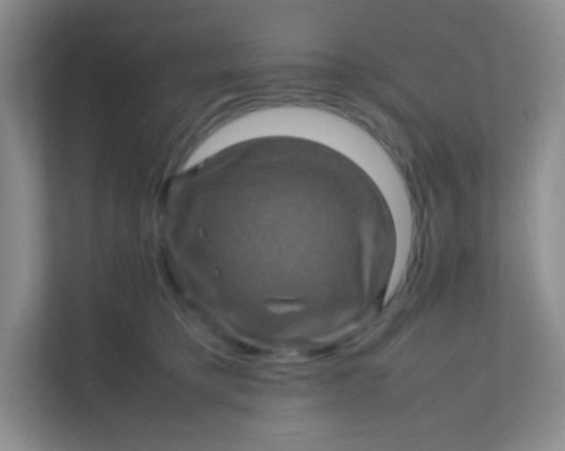 X0000111600421200907301450