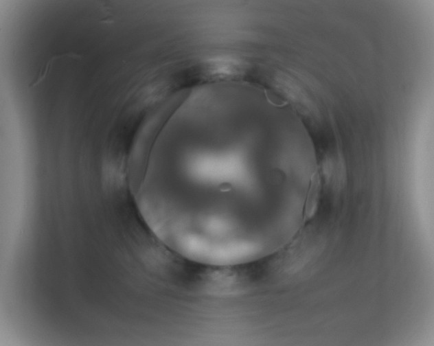 X0000111600423200907301450