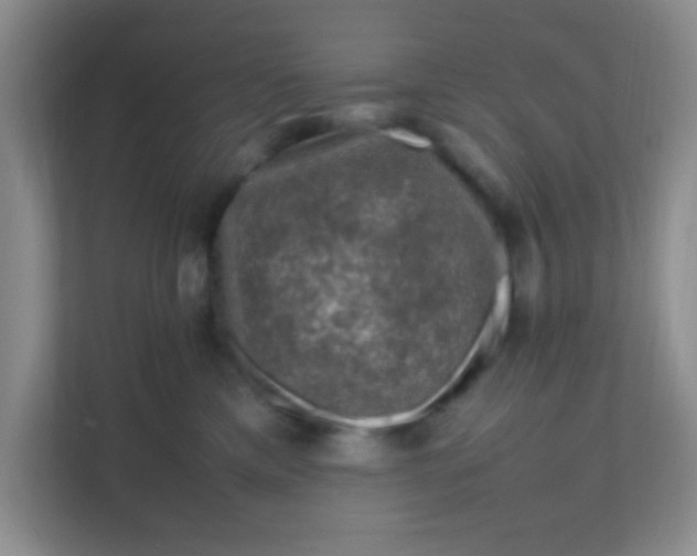 X0000111600425200907301450