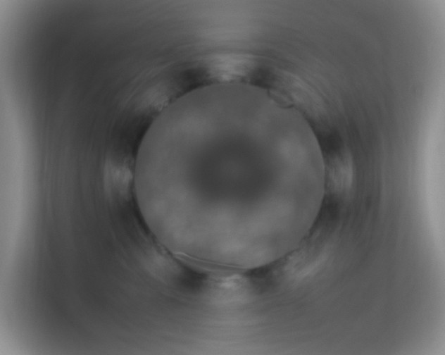 X0000111600427200907301450