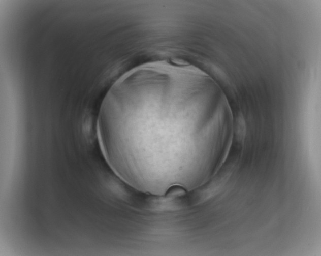 X0000111600428200907301450