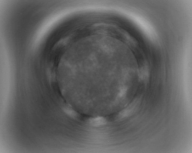 X0000111600431200907301450