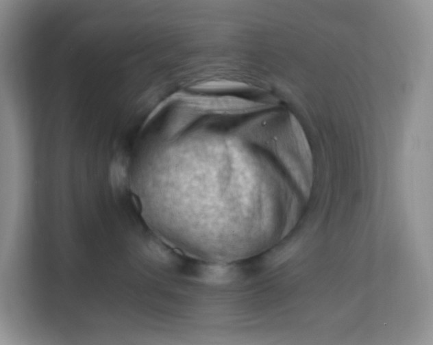 X0000111600432200907301450