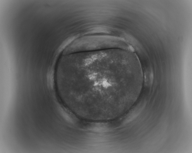 X0000111600436200907301450
