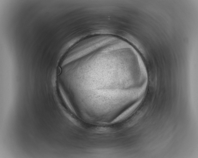 X0000111600437200907301450