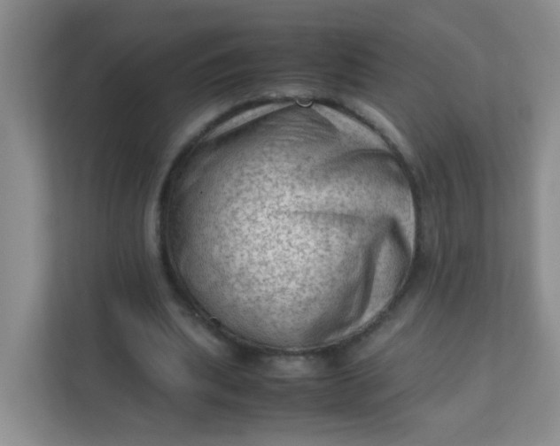X0000111600439200907301450