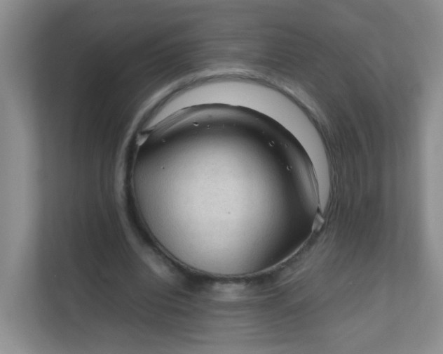 X0000111600440200907301450