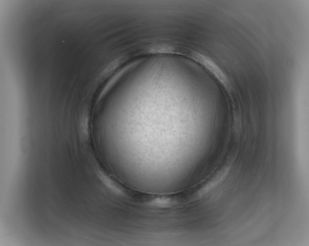 X0000111600441200907301450