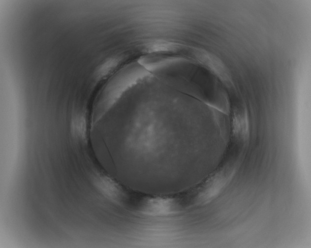 X0000111600444200907301450