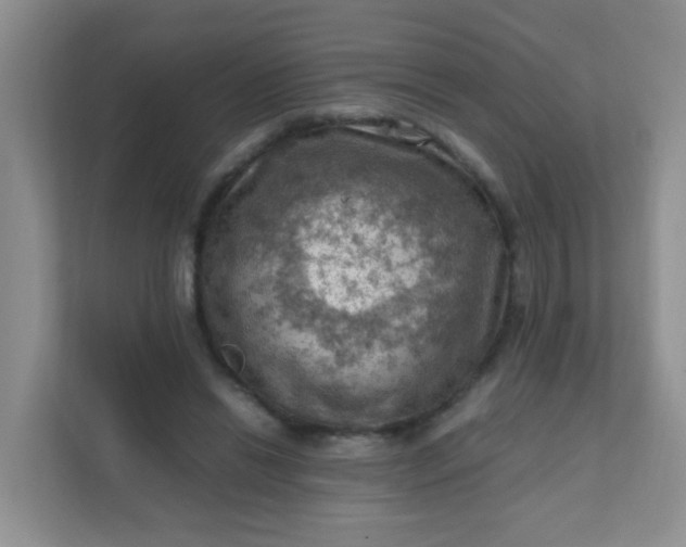 X0000111600446200907301450