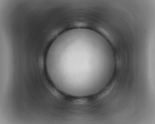 X0000111600447200907301450