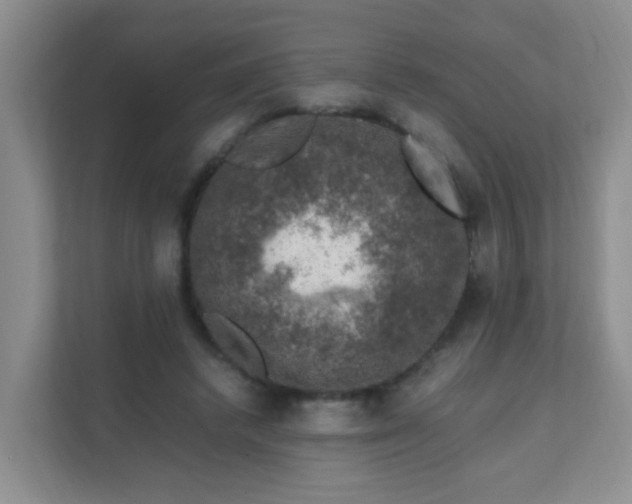 X0000111600448200907301450