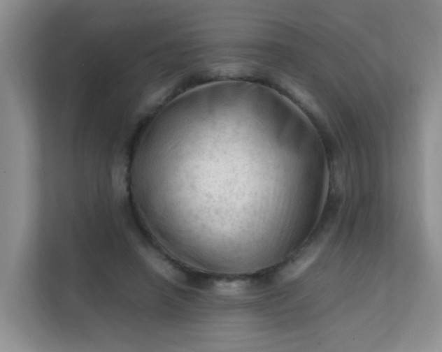 X0000111600450200907301450