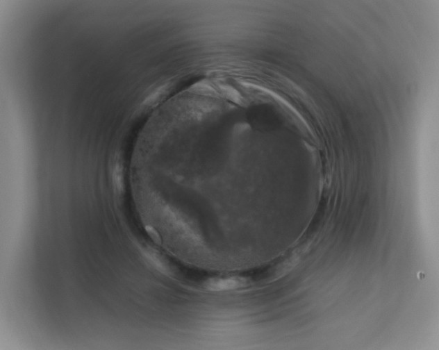 X0000111600452200907301450