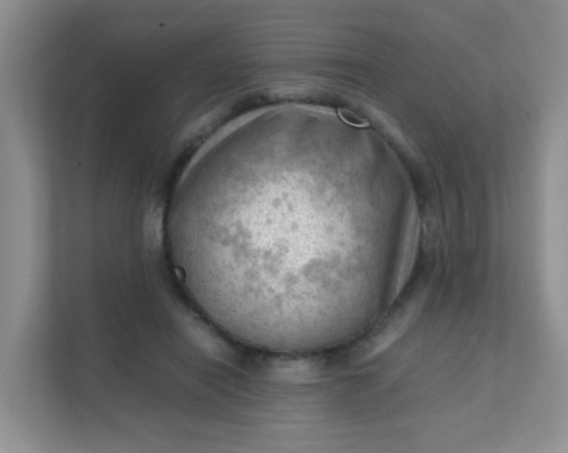 X0000111600454200907301450