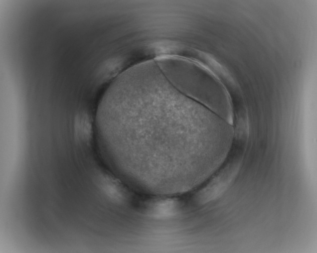 X0000111600456200907301450