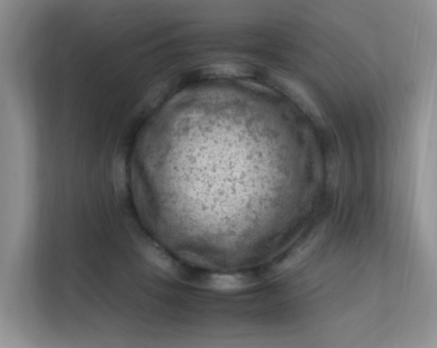 X0000111600457200907301450