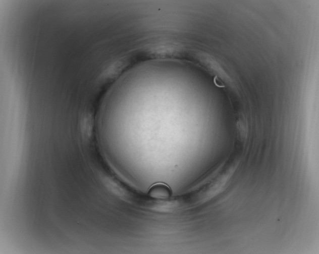 X0000111600458200907301450