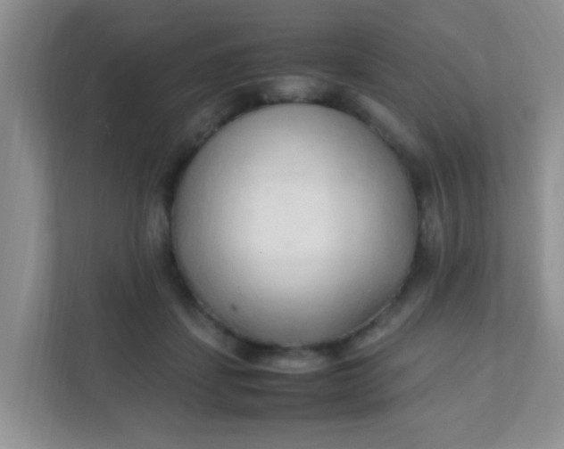 X0000111600459200907301450