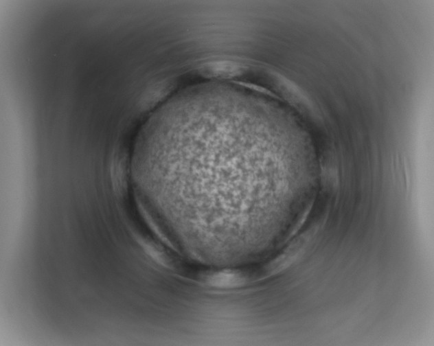 X0000111600460200907301450