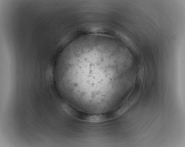 X0000111600461200907301450