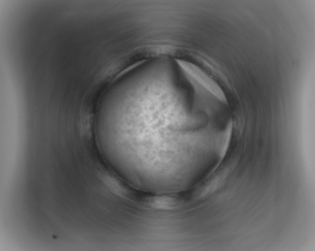 X0000111600462200907301450