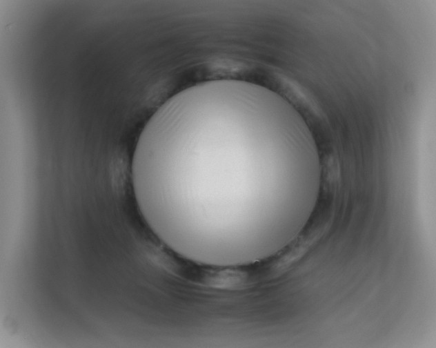 X0000111600463200907301450
